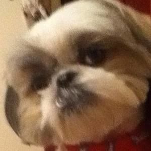 Meet your Posher, Diane